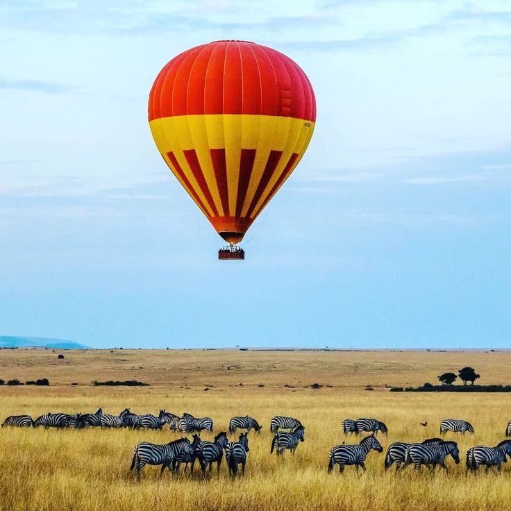 Hot air balloon safari